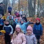phoca_thumb_m_zajci a podzim 11 Fotogalerie
